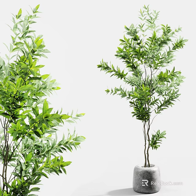 Lush Green Bonsai Potted Plant With Graceful Branches And Decorative Ceramic Pot 3d model 