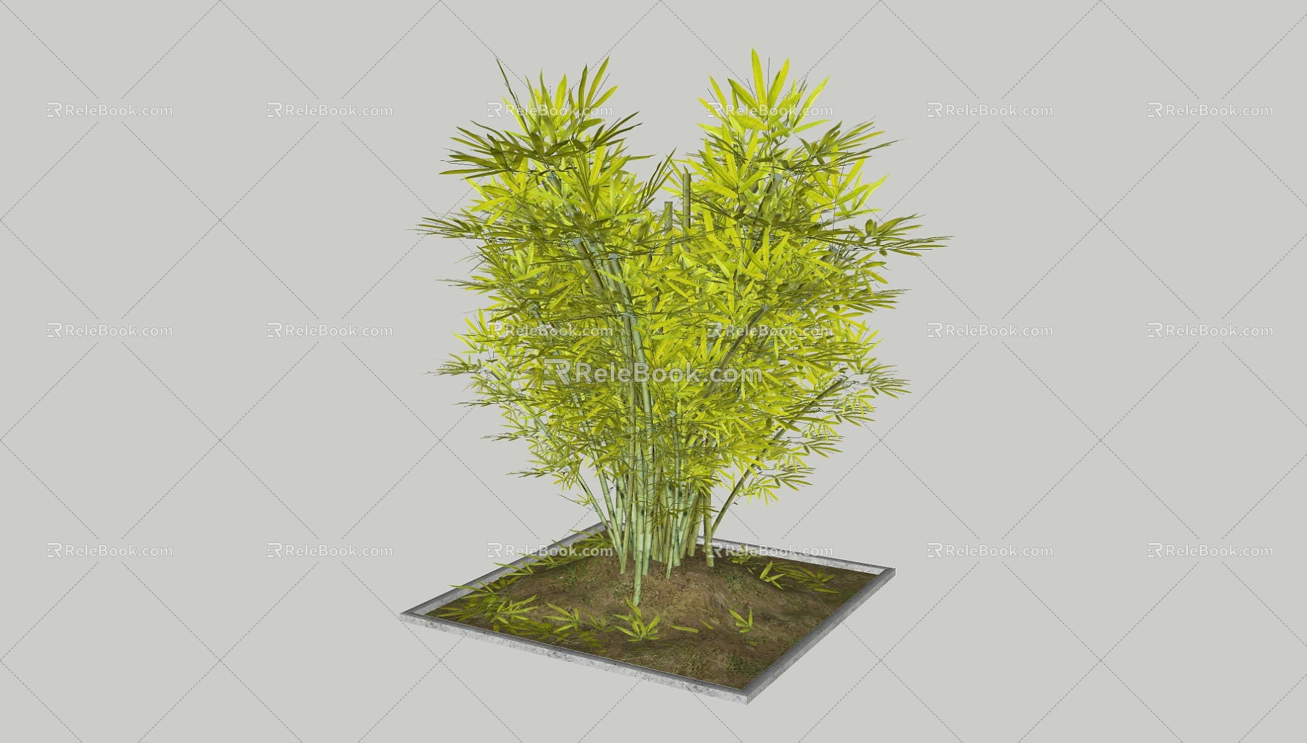 Bamboo 3d model