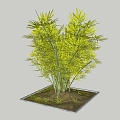 Bamboo 3d model