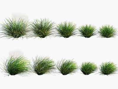 Decorative Green Grass Clumps With Various Shapes For Garden Landscaping Design 3d model