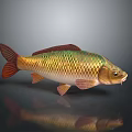 Golden Green Red Scaled Fish Figurine as Stylish Home Living Accessory