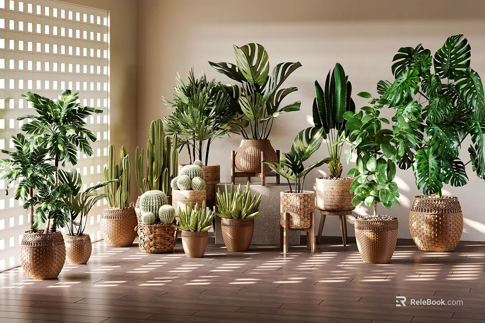 Indoor Decorative Potted Plants With Various Greenery Wooden Floor And Natural Light 3d model 