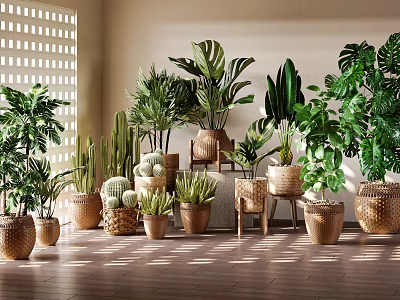 Indoor Decorative Potted Plants With Various Greenery Wooden Floor And Natural Light 3d model