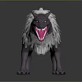 3D Wolf Model with Gray Fur Fierce Expression Open Mouth Sharp Teeth on Dark Ground 3d model