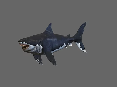 Great White Shark With Open Mouth And Sharp Teeth Swimming In Ocean 3d model