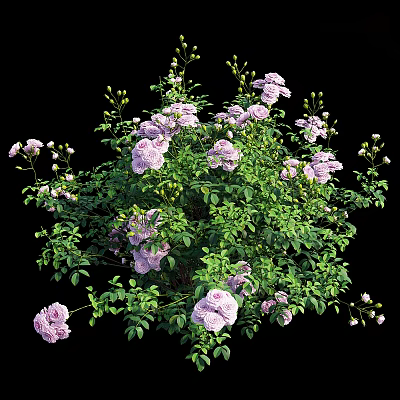 Vibrant Pink Flowers in Decorative Vase with Green Leaves and Fresh Blooms 3d model