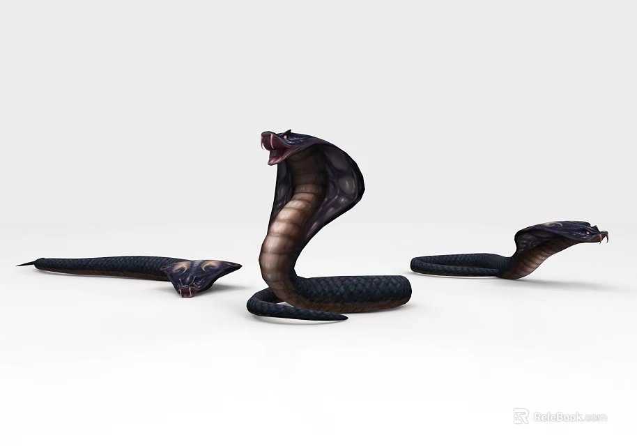 Black Hooded Cobra Snakes In Various Striking Positions With Extended Hoods Against White Background 3d model 