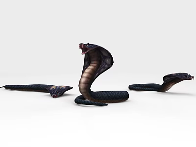 Modern snake-eye snake 3d model Modern snake-eye snake 3d model