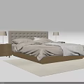 Modern Double Bed Interior with Bedside Tables Table Lamps Bedspread and Pillows on Rug 3d model