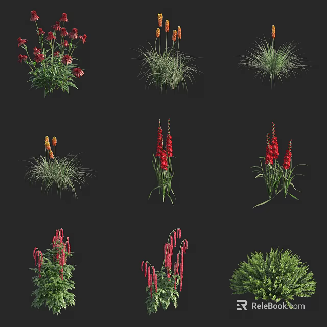 Various Red Flowering Plants and Green Grasses Growing in Clustered Upright Forms 3d model 