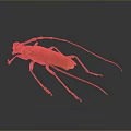 Yellow Longhorn Beetle With Long Antennae On Dark Background Macro Shot