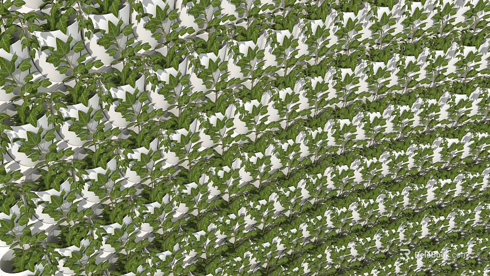 Lush Green Plant Wall With Abundant White Flowers And Natural Vertical Garden Design 3d model 