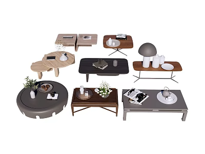 Modern Coffee Tables in Various Designs With Wooden Metal Frames and Decorative Flowers Books 3d model