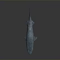 Realistic Blue Shark 3D Model Featuring Reflective Skin On Grey Background 3d model