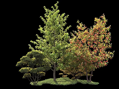 Arbor Collection With Green And Colorful Leaves In Natural Grass Landscape 3d model