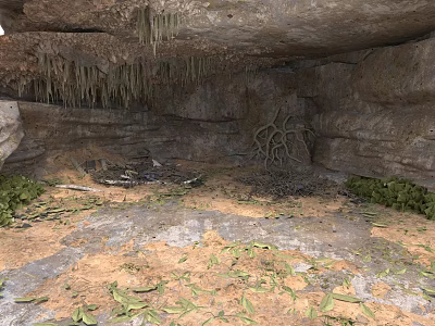 Natural Cave Interior With Rock Walls Stalactites Dirt Floor Fallen Leaves And Greenery 3d model