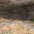 Natural Cave Interior With Rock Walls Stalactites Dirt Floor Fallen Leaves And Greenery