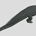 Realistic Crocodile With Detailed Scaled Body And Long Tail On White Background
