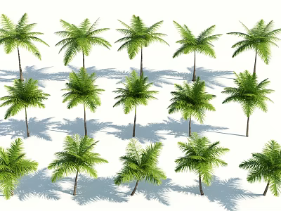Lush Green Palm Trees In Multiple Rows With Long Trunks And Leafy Shadows 3d model