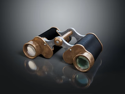 Vintage Brass Binoculars With Black Leather Cover And Clear Glass Lenses 3d model