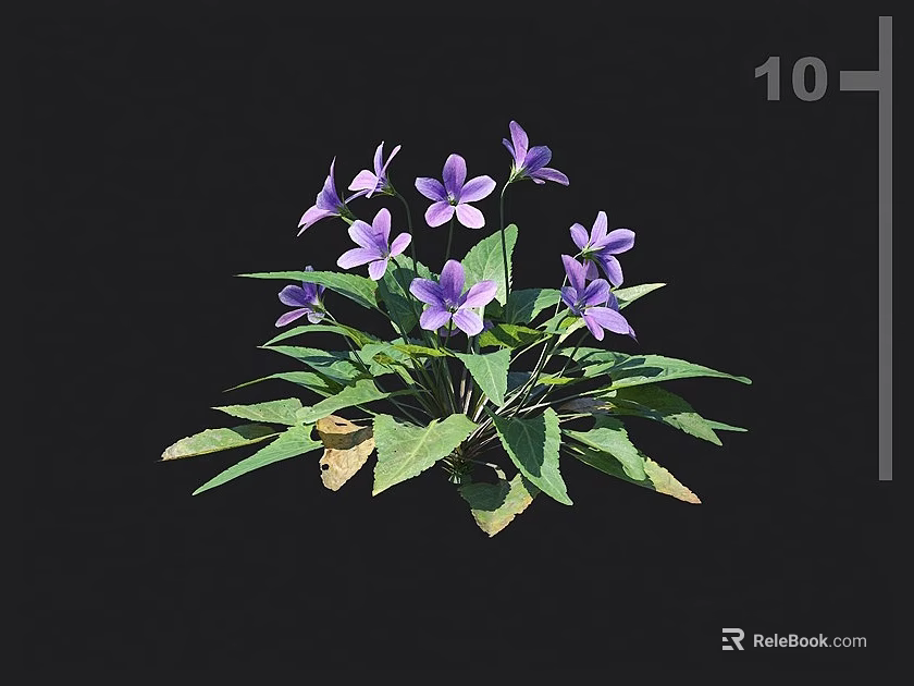 Stunning Vibrant Purple Flowers With Fresh Green Leaves On Black Background 3d model 