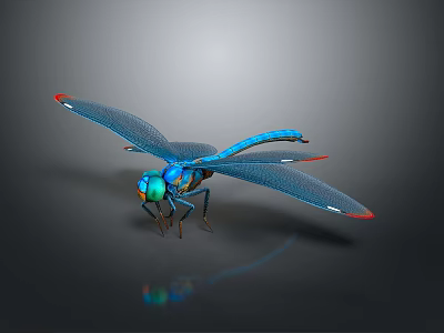 Vibrant Blue Dragonfly With Red Wing Tips Green Eyes And Reflection On Gray Background 3d model
