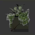 Lush Green Leafy Plants Growing in Rectangular Planter with Red Wheels