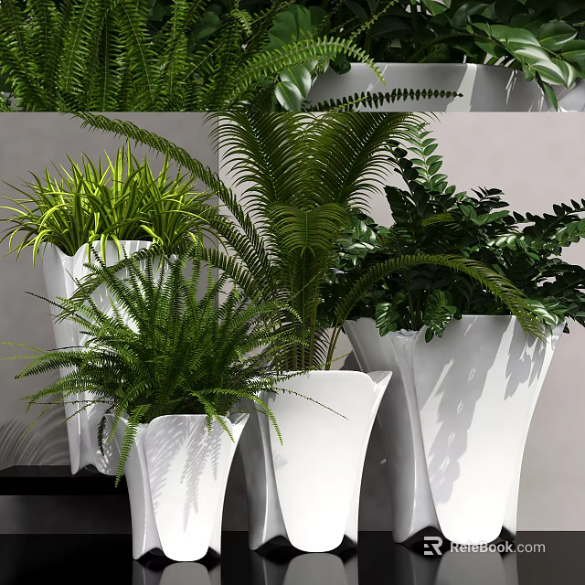 Various Lush Green Potted Plants In White Stylish Pots For Indoor Decoration 3d model 
