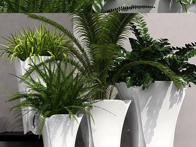 Various Lush Green Potted Plants In White Stylish Pots For Indoor Decoration 3d model