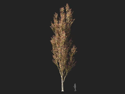 Tall Arbor With Pink And Green Foliage And Human Figure For Scale 3d model
