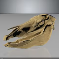 Animal Skull 3D Model With Detailed Structure Light Brown Color And Dark Background