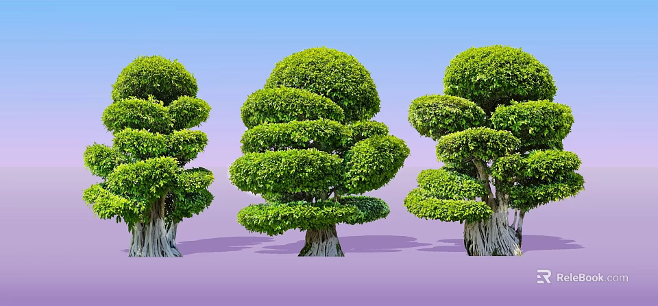 Pruned Arbor Trees With Rounded Green Foliage Against Blue Sky And Purple Ground 3d model 