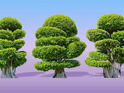 Pruned Arbor Trees With Rounded Green Foliage Against Blue Sky And Purple Ground 3d model