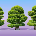 Pruned Arbor Trees With Rounded Green Foliage Against Blue Sky And Purple Ground