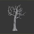 Leafless Dead Tree With Textured Trunk And Spreading Branches On Simple Gray Gradient Background