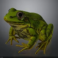 Realistic Green Yellow Spotted Frog With Large Eyes and Detailed Legs