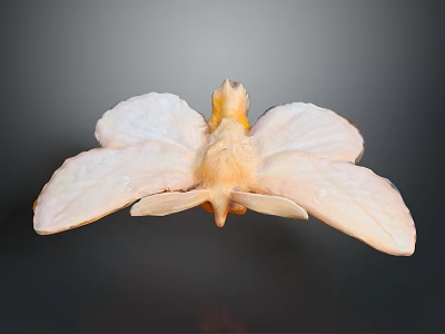 Mythical Bird Flower Hybrid Creature With Pink Petal Wings And Yellow Center 3d model