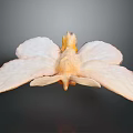 Mythical Bird Flower Hybrid Creature With Pink Petal Wings And Yellow Center