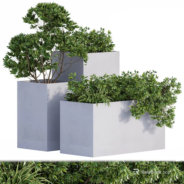 Gray Square Planters With Lush Trees And Vibrant Green Foliage 3d model