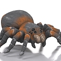 Giant spider tarantula 3d model