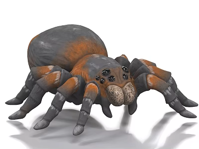 Reptile With Prominent Eyes Gray Black And Orange Body Crawling On White Surface 3d model