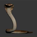 snake cobra venomous snake python reptile cold-blooded animal reptile 3d model