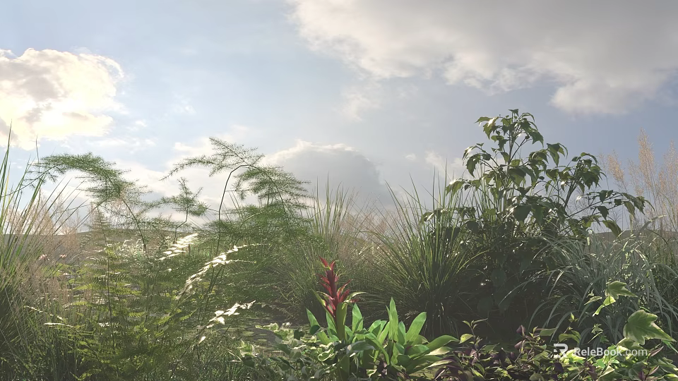 Lush Greenery and Flowers Under Blue Sky White Clouds with Sunlight Ferns and Red Blooms 3d model 