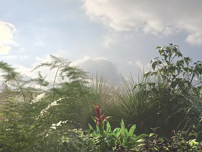 Lush Greenery and Flowers Under Blue Sky White Clouds with Sunlight Ferns and Red Blooms 3d model