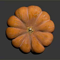 Vibrant Orange Round Textured Pumpkin With Shiny Rind And Glossy Surface