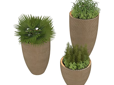 Varied Plant Combination With Palm And Herb Plants In Woven Brown Planters 3d model