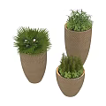 Varied Plant Combination With Palm And Herb Plants In Woven Brown Planters
