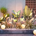 Lush Tropical Plants and Pampas Grass with Round Lanterns Against Gray Wall and Wooden Lattice