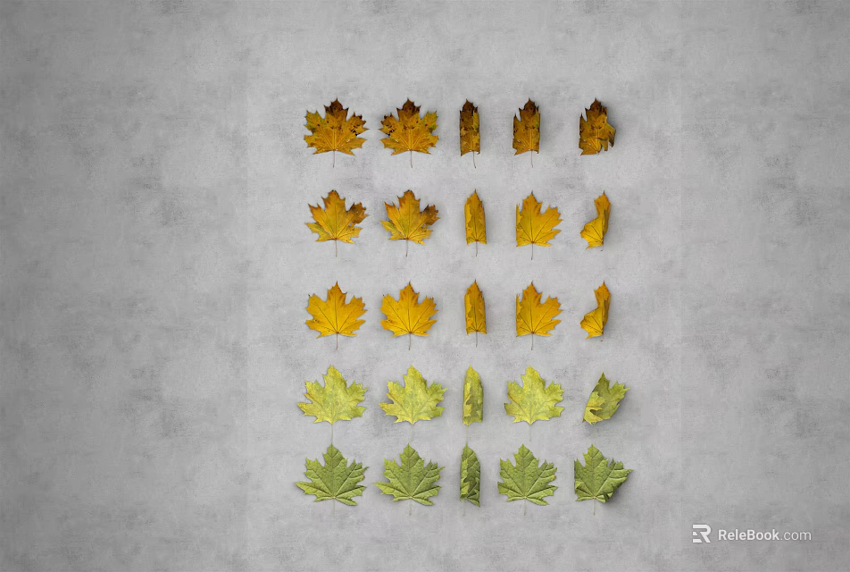 Colorful Autumn Leaves in Orange Yellow Green Arranged on Gray Background 3d model 