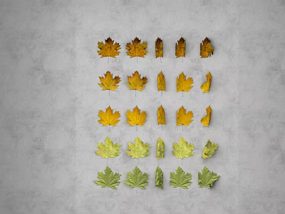Colorful Autumn Leaves in Orange Yellow Green Arranged on Gray Background 3d model